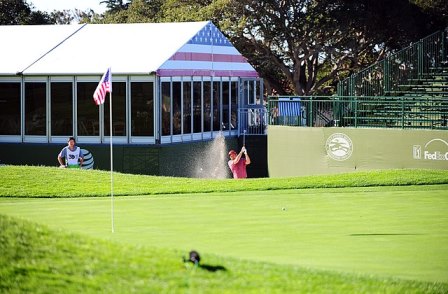 FanDuel, DraftKings daily fantasy golf selections, PGA lineups, tips, and strategy for the 2023 AT&T Pebble Beach Pro-Am
