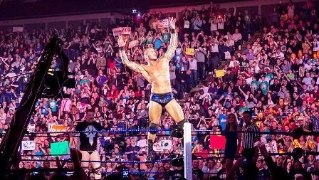 Randy Orton, a WWE superstar, may never wrestle again.