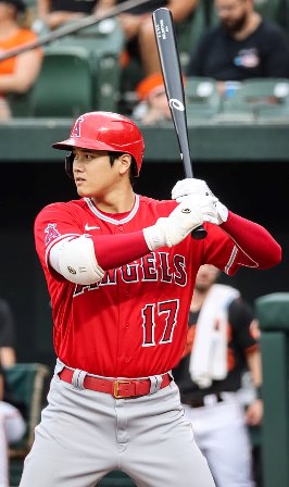 'Brother' Shohei Ohtani is called out by Angels superstar Mike Trout on social media after his MVP victory.